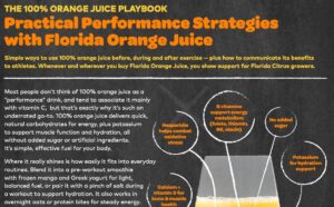 Fdoc Practical Performance Strategies Handout